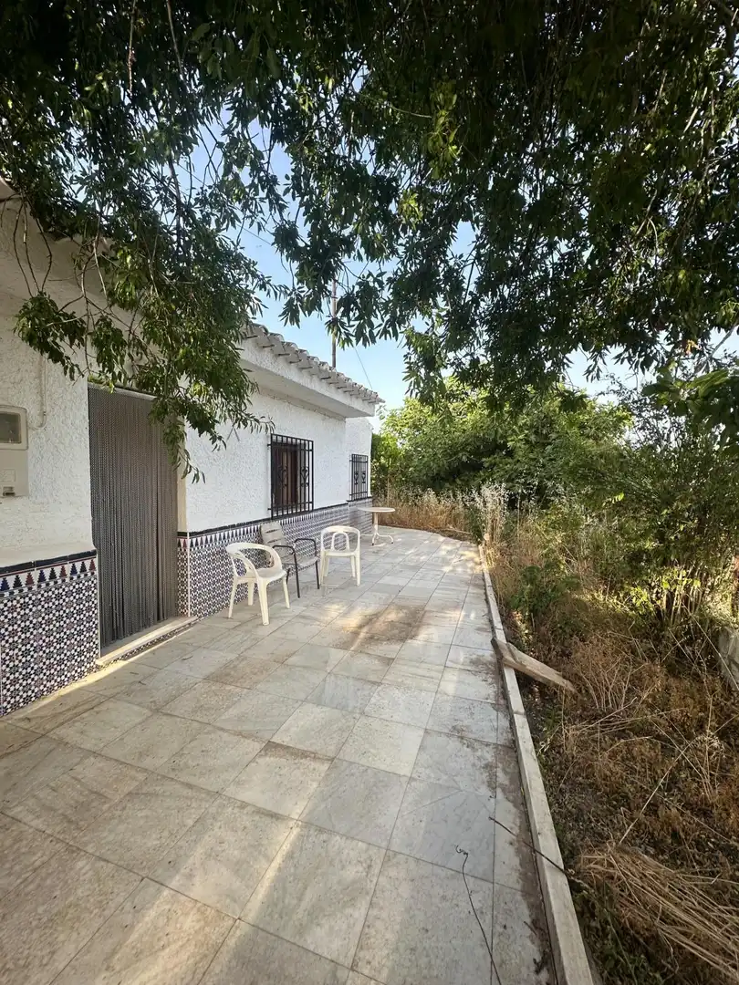 Vista exterior de Finca rústica en venta en Somontín