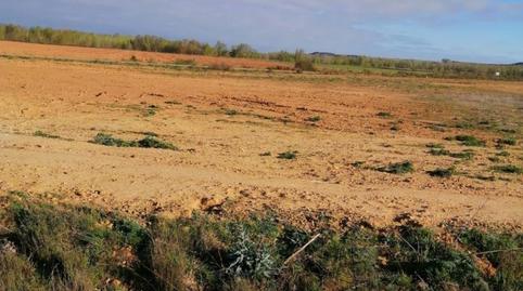 Foto 4 de Terreny industrial en venda a Calle 24218, Mansilla de las Mulas, León