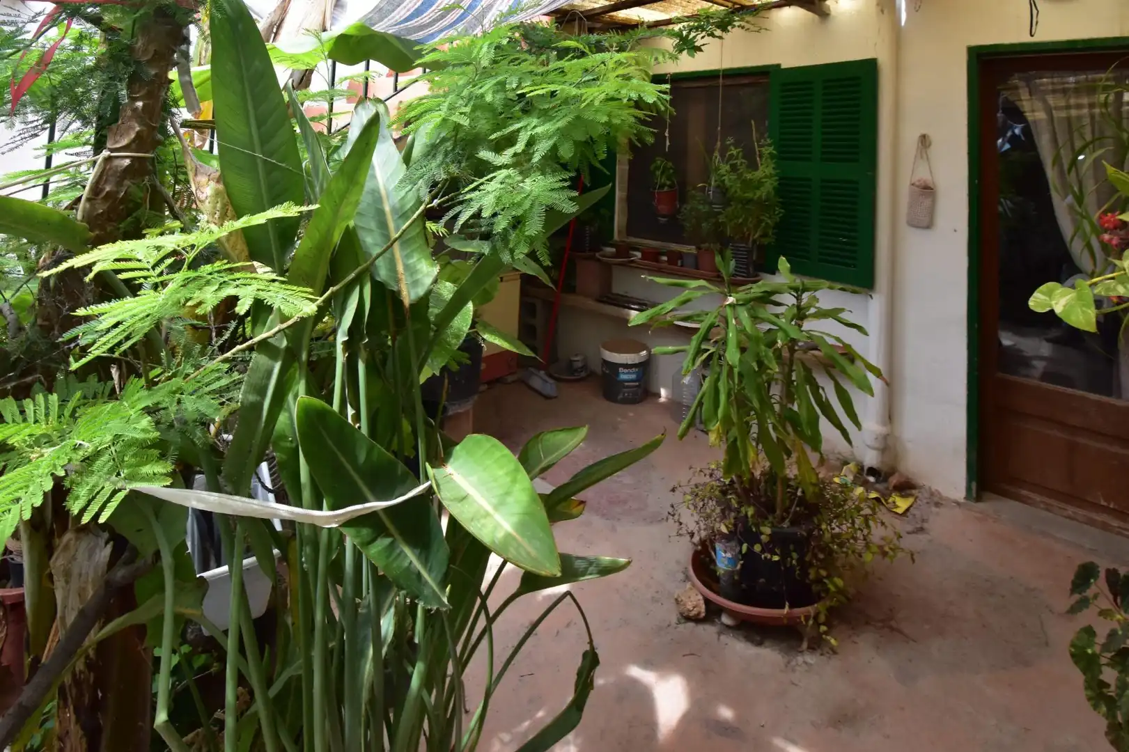 Jardí de Casa o xalet en venda en Santa María del Camí