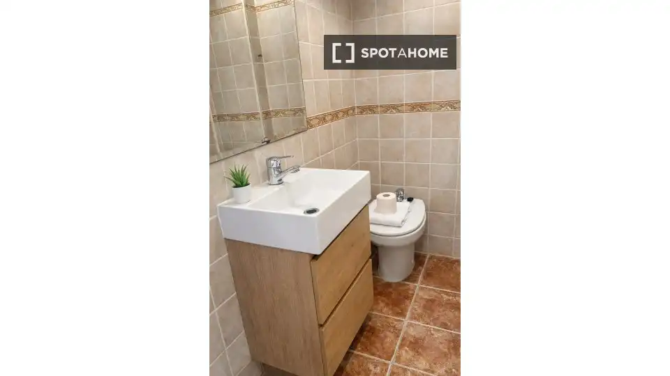 Habitació a Alicante / Alacant, Alicante