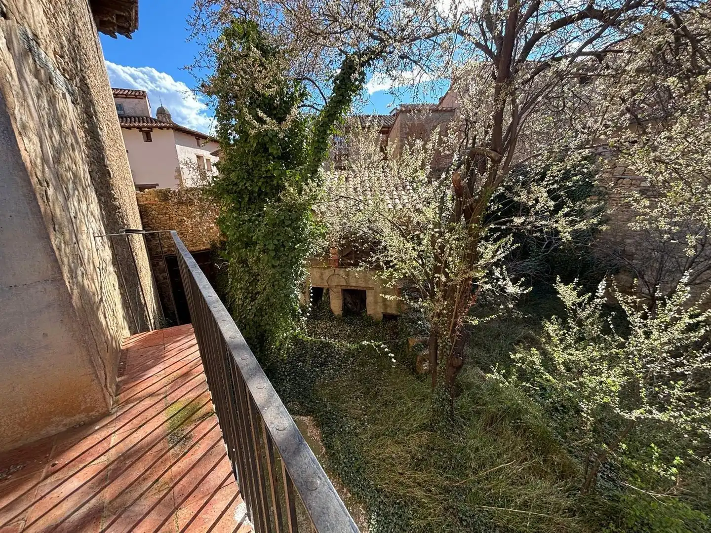 Jardín de Casa o chalet en venta en Mirambel con Jardín privado, Terraza y Trastero