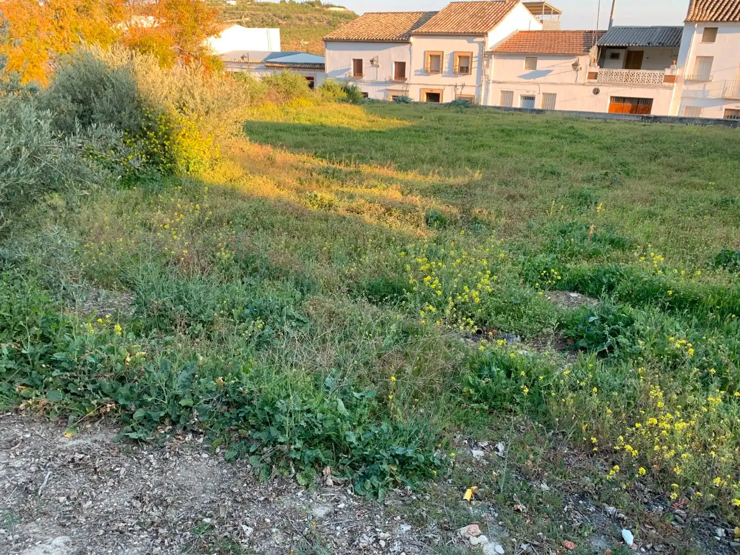 Terreni e lotti in vendita a Calle de Valencia, imagen 3