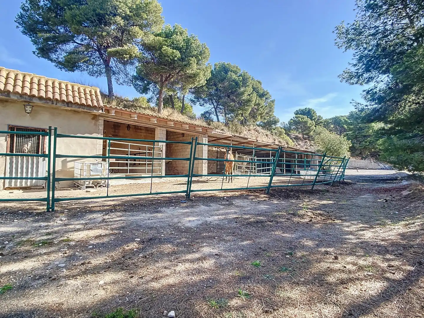 Vista exterior de Finca rústica en venta en Tibi con Jardín privado, Terraza y Trastero