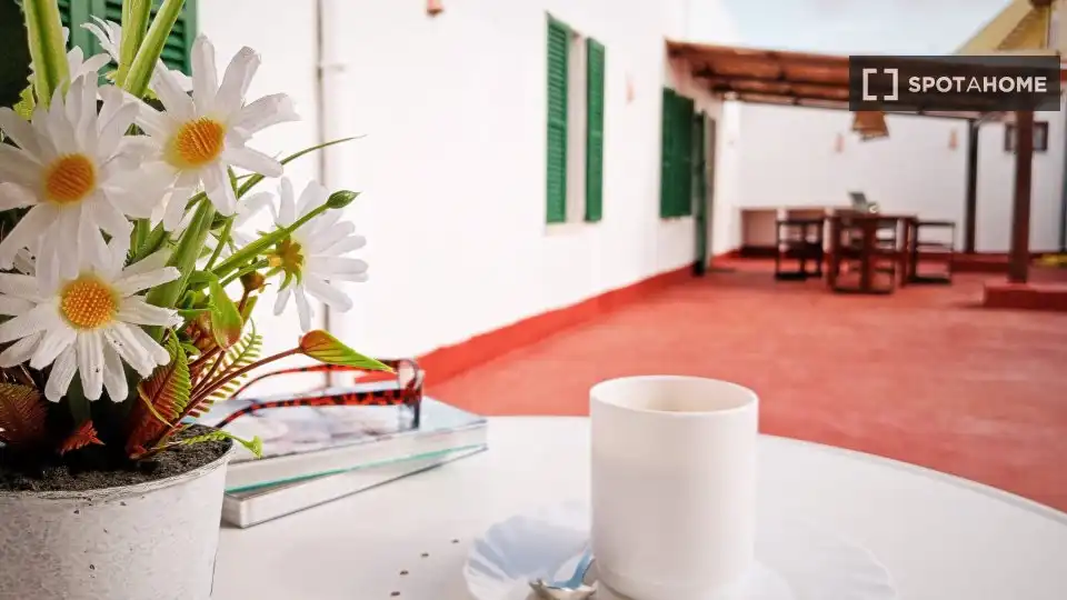 Terrace of Flat for share in  Palma de Mallorca  with Air Conditioner, Heating and Terrace