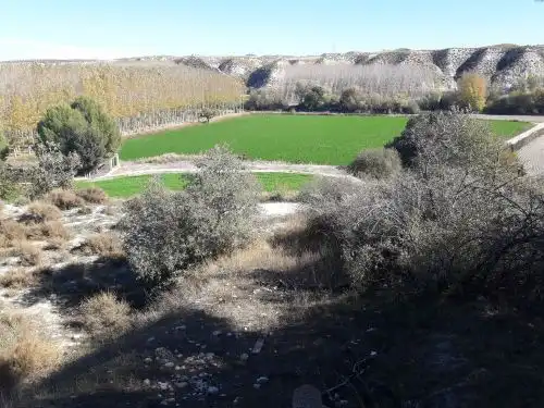 Terreno en venta en Cortes de Baza