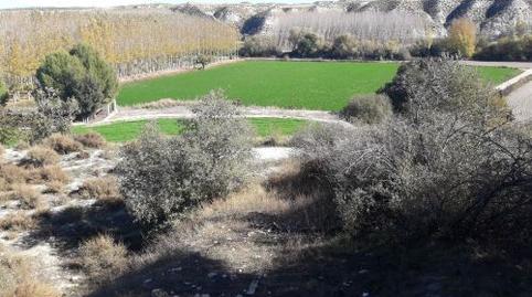 Photo 2 of Land for sale in Plaza Constitucion, 18, Cortes de Baza, Granada