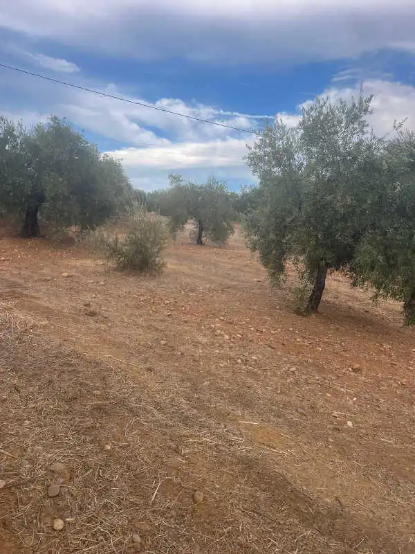 Rustikales Grundstück zum Verkauf in Pozoblanco, imagen 8