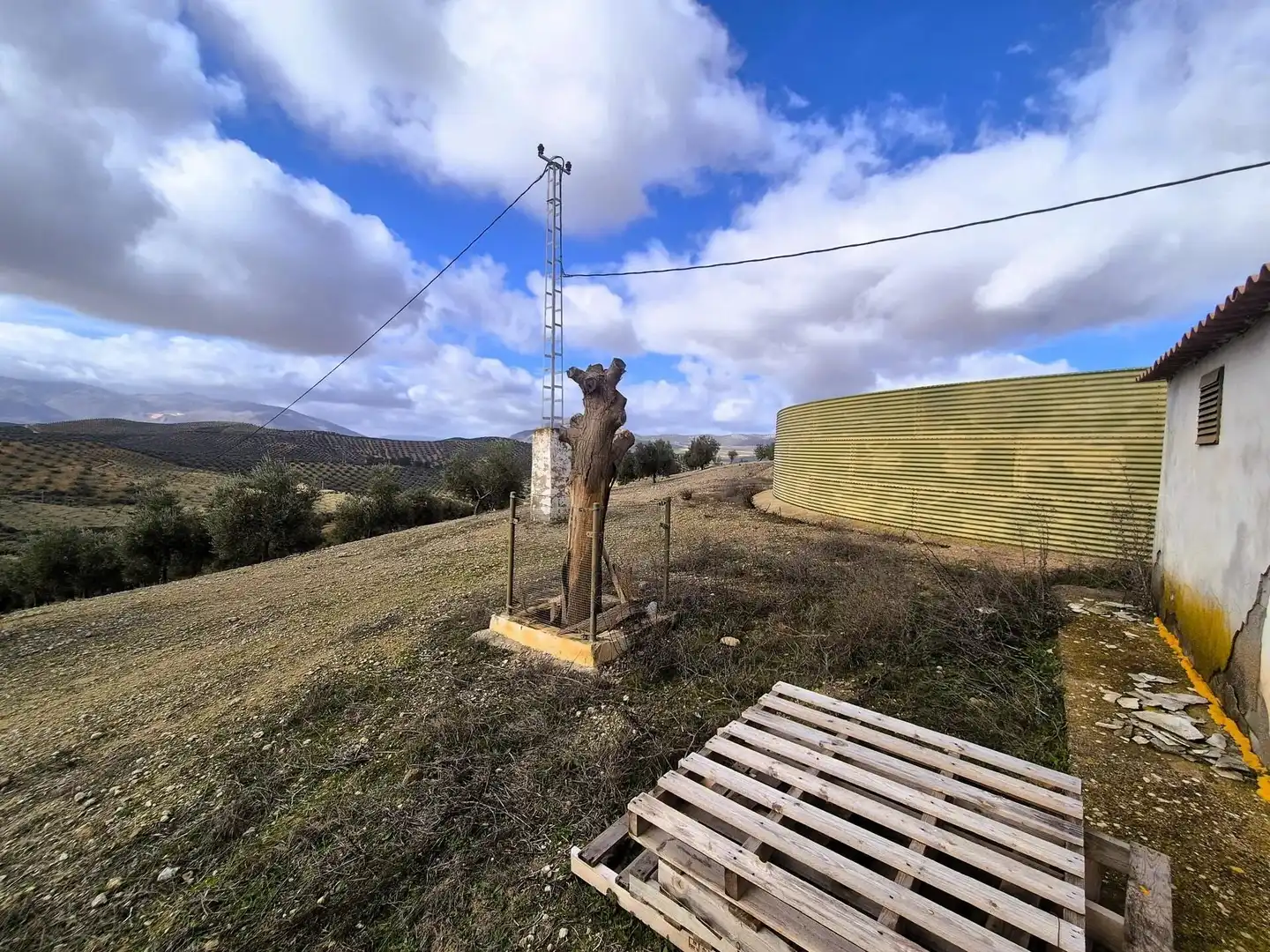 Terreno rústico en venta en Salar, imagen 10