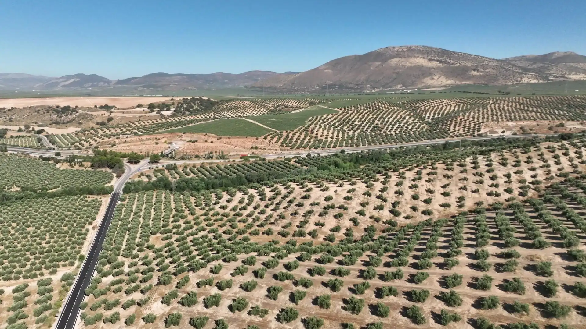 Terreni e lotti in vendita a Albolote