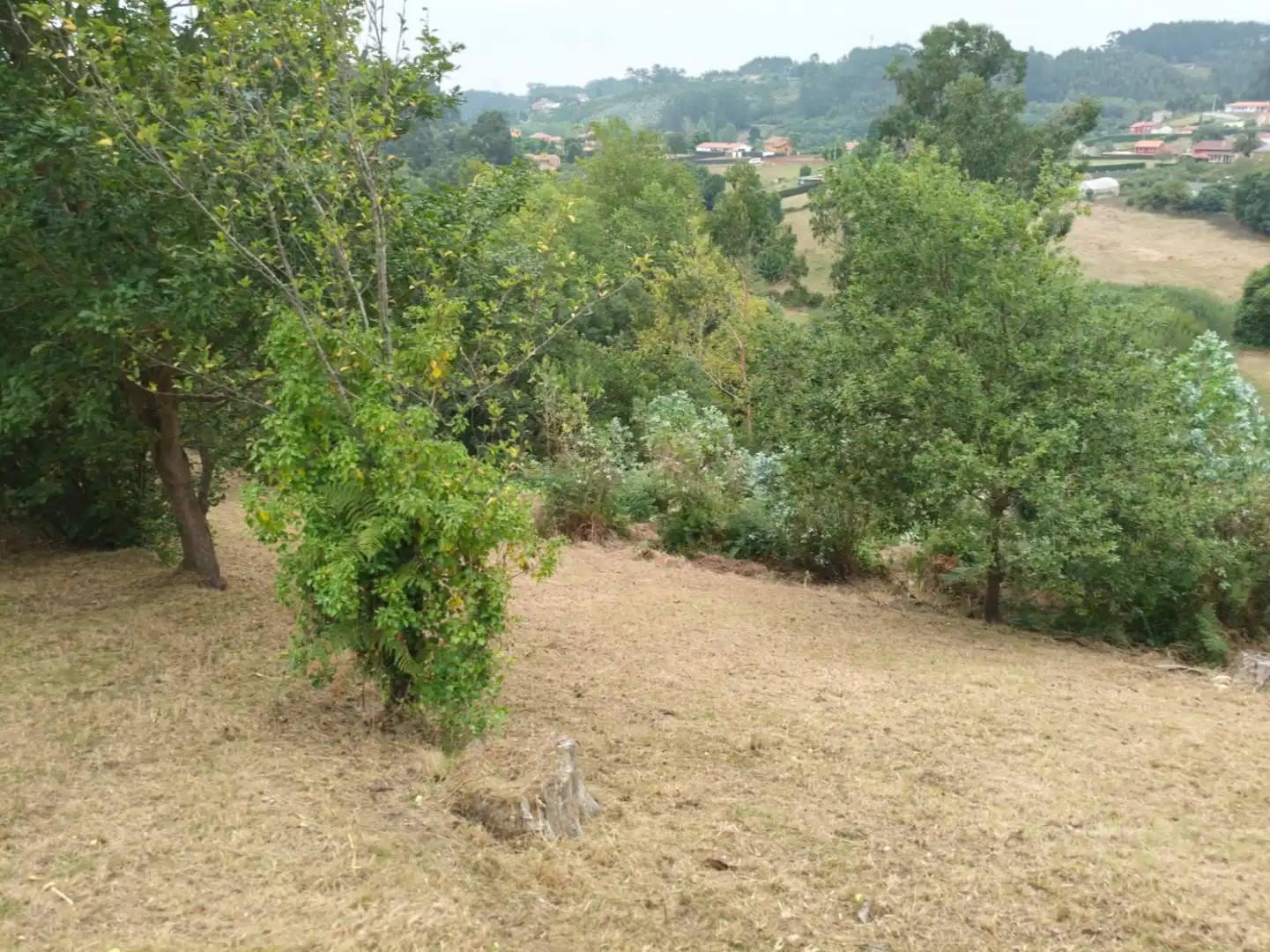 Houses for sale in Castrillón
