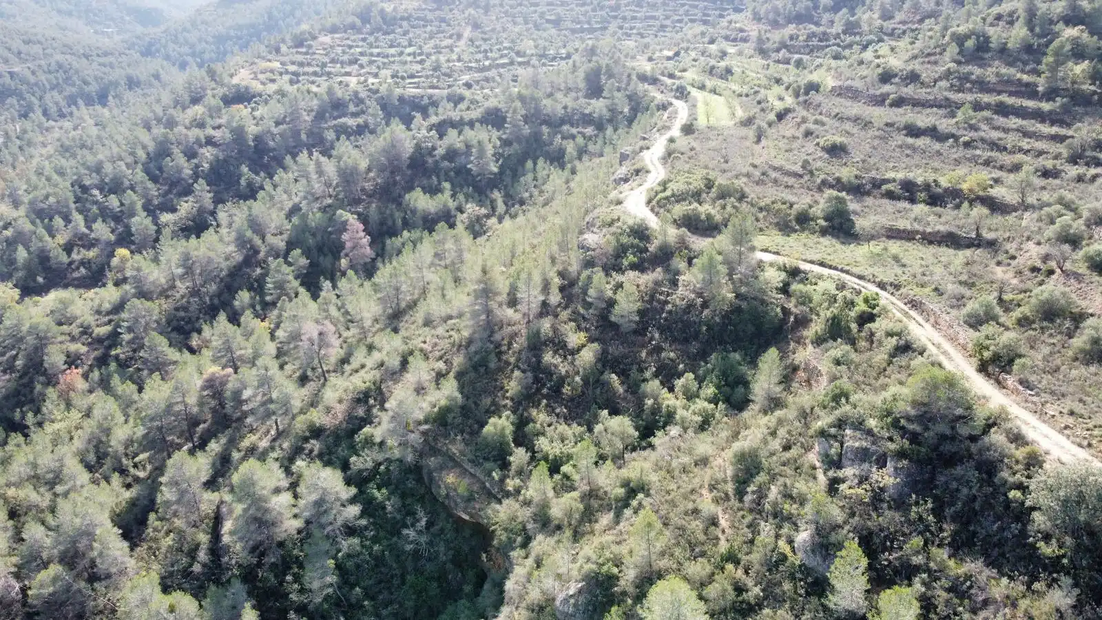Terreno rustico in vendita a Cervià de Les Garrigues, imagen 45