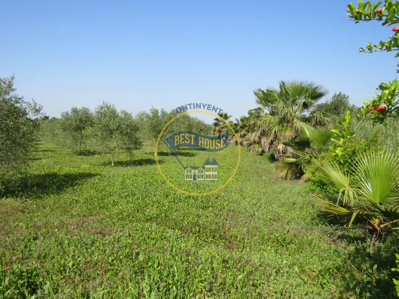 Residencial en venta en Agullent