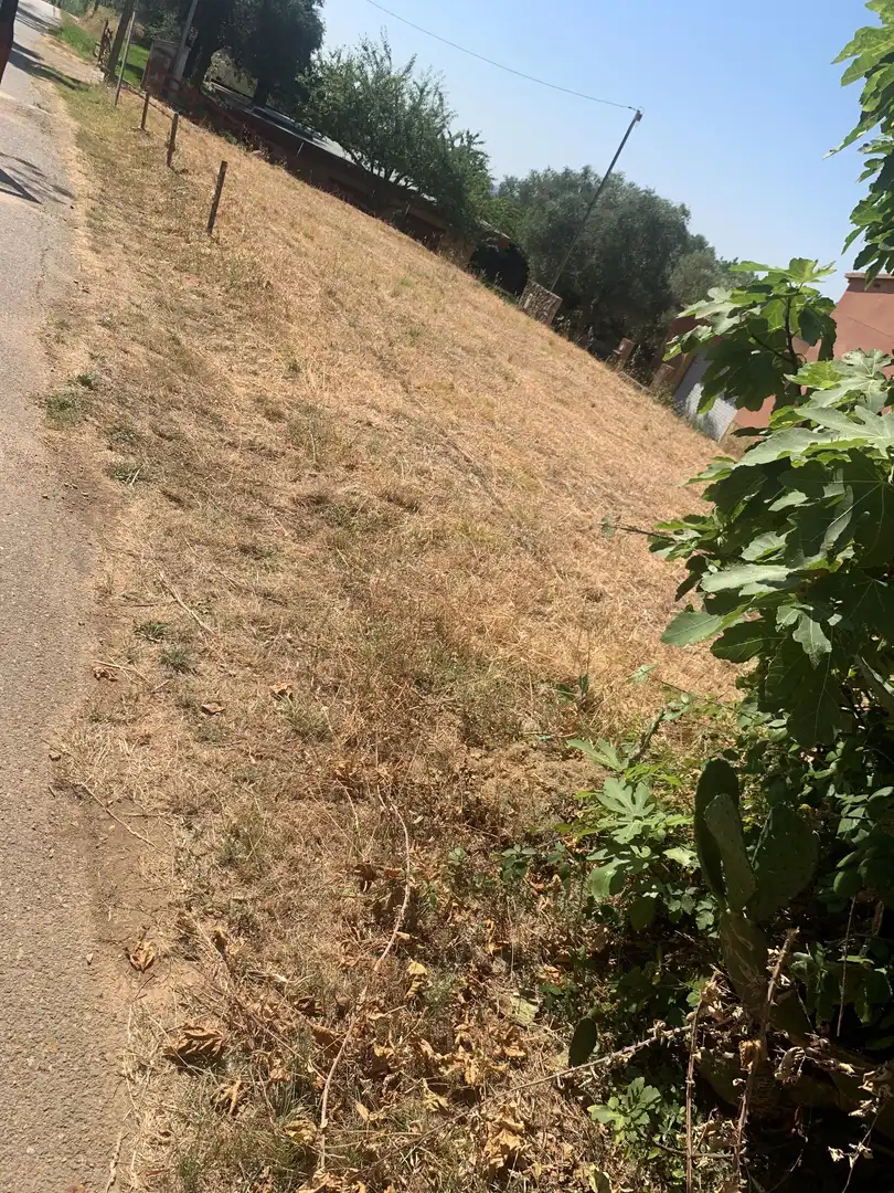 Wohnbaugrundstück zum Verkauf in Lladó, imagen 4