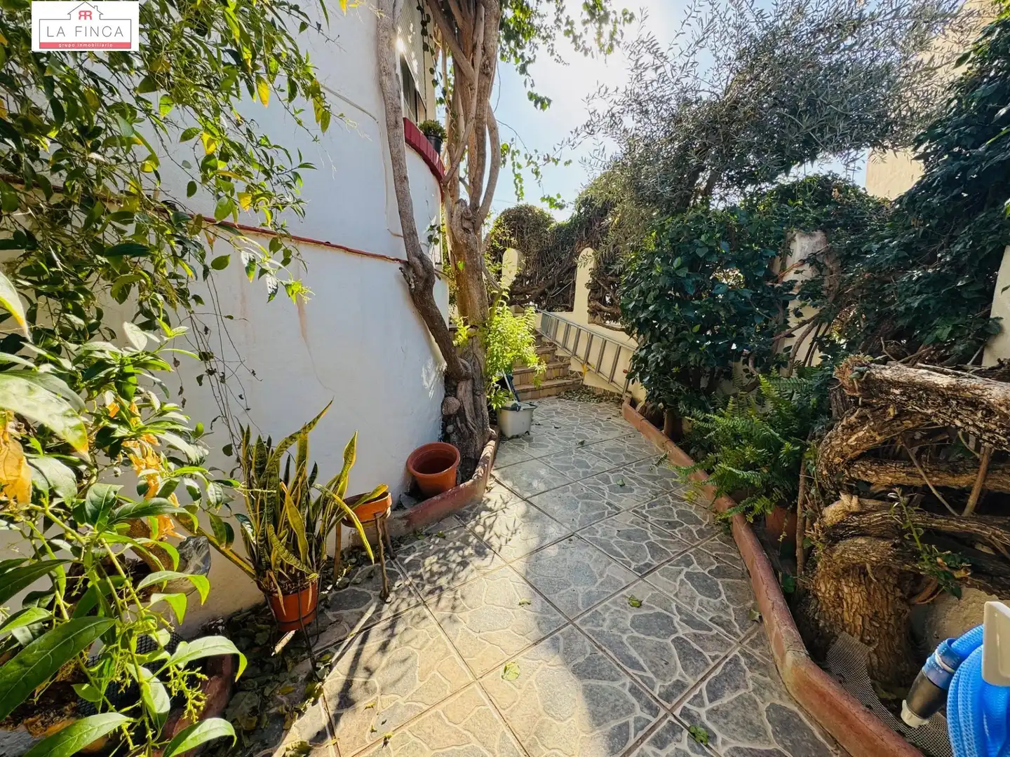 Vista exterior de Casa o chalet en venta en Málaga con Terraza y Balcón