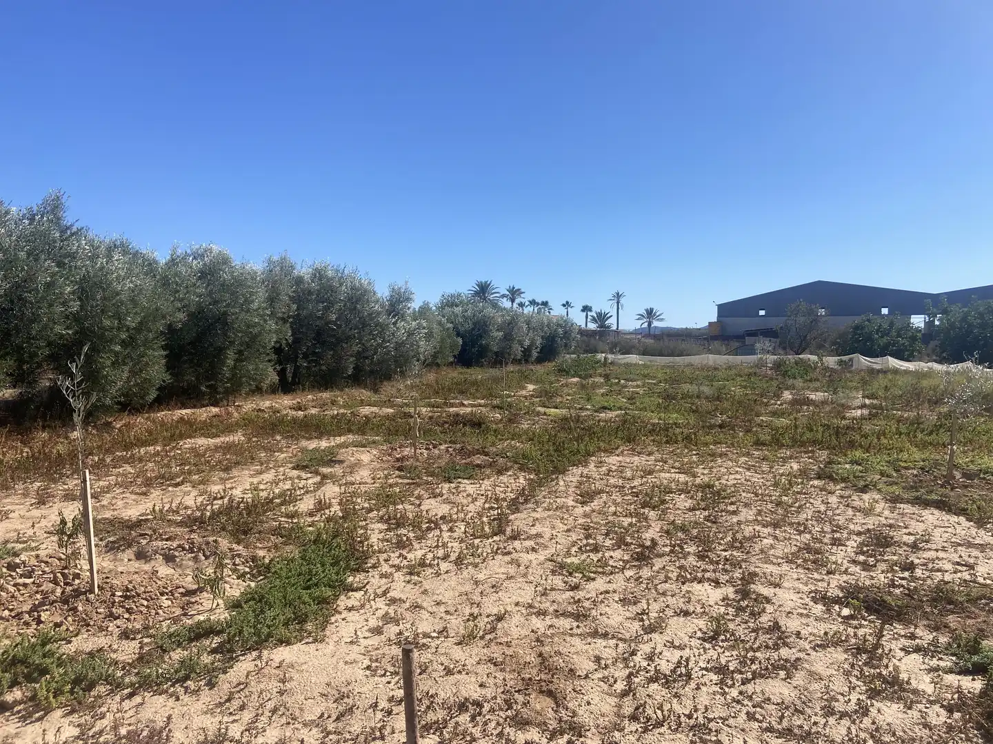 Land for sale in Cartagena