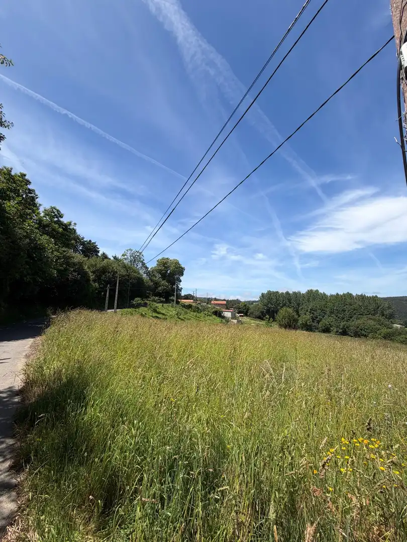 Terreni e lotti in vendita a LEIRA NOVA, imagen 9