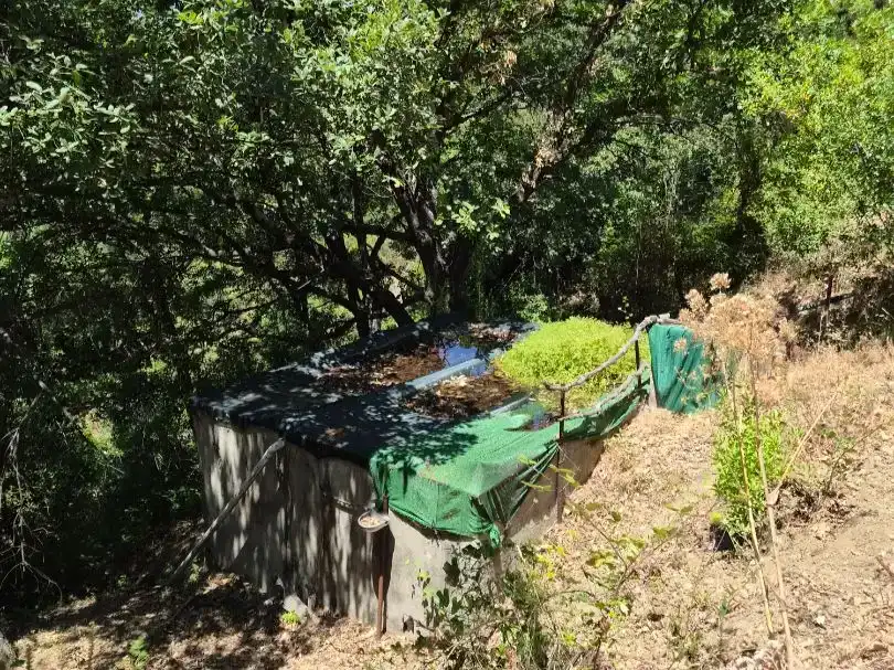 Jardí de Finca rústica en venda en Jubrique amb Piscina