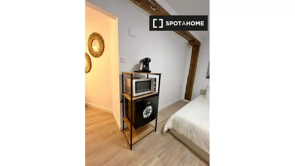 Bedroom of Study for share in Bilbao   with Air Conditioner, Terrace and Furnished
