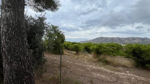 Foto 3 de Residencial en venta en Juzgados - Plaza de Toros, Benidorm