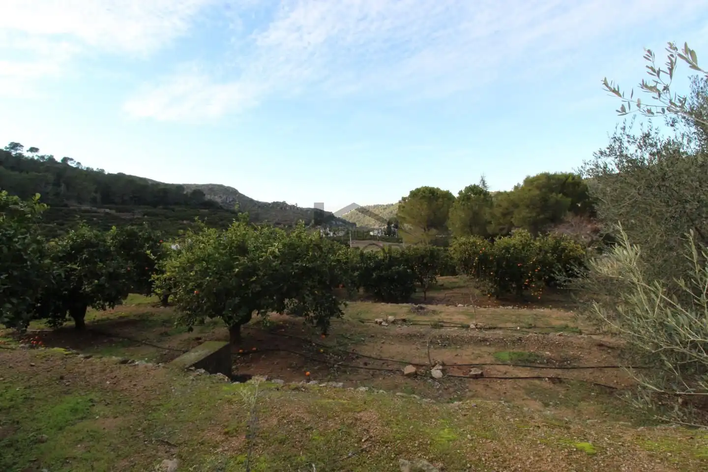 Terrenos y solares en venta en barranc del salt, imagen 11