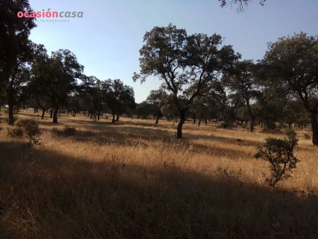 Country homes for sale in Torrecampo