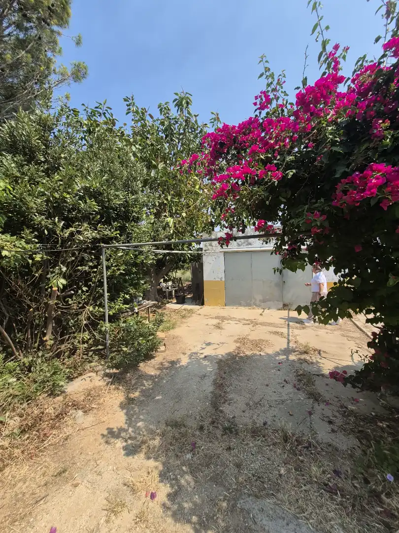 Houses for sale in Puerto Real  with Furnished
