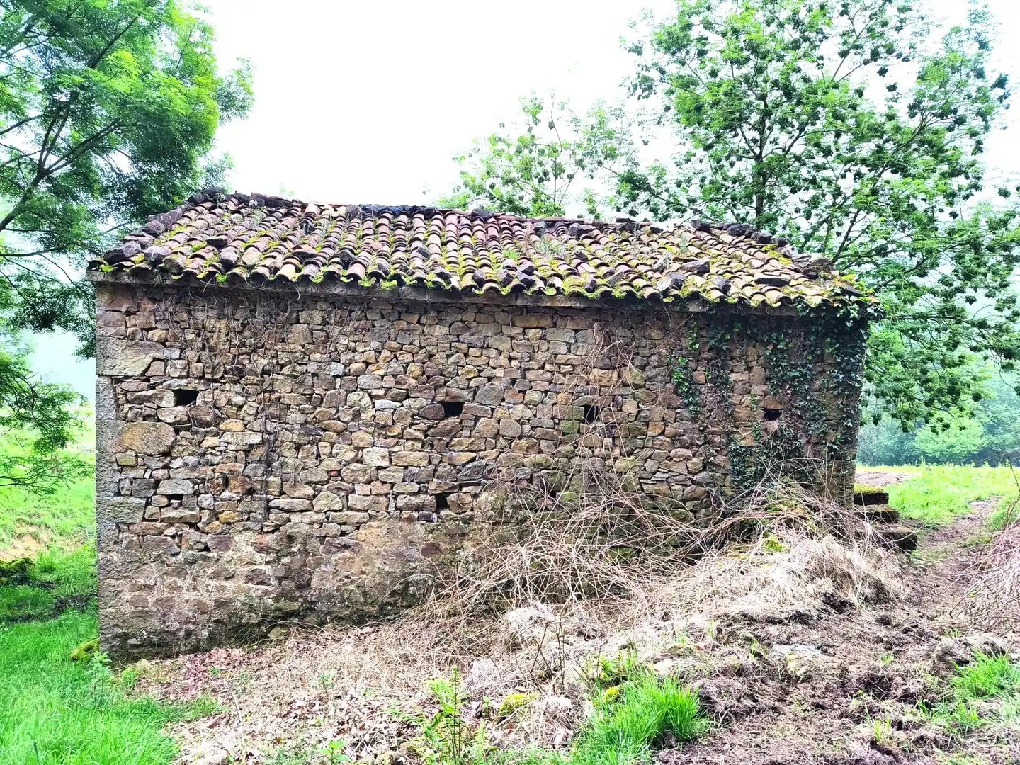 Vista exterior de Casa o chalet en venta en Villacarriedo con Jardín privado