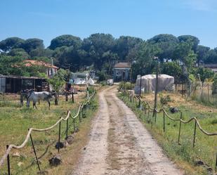 Vista exterior de Casa o xalet en venda en Bonares amb Aire condicionat, Jardí privat i Terrassa