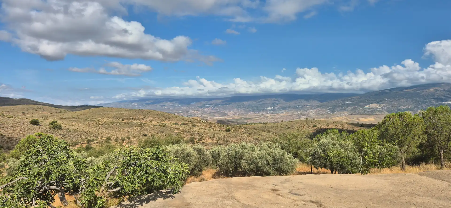 Terrain rustique à vendre à Alcolea, imagen 15
