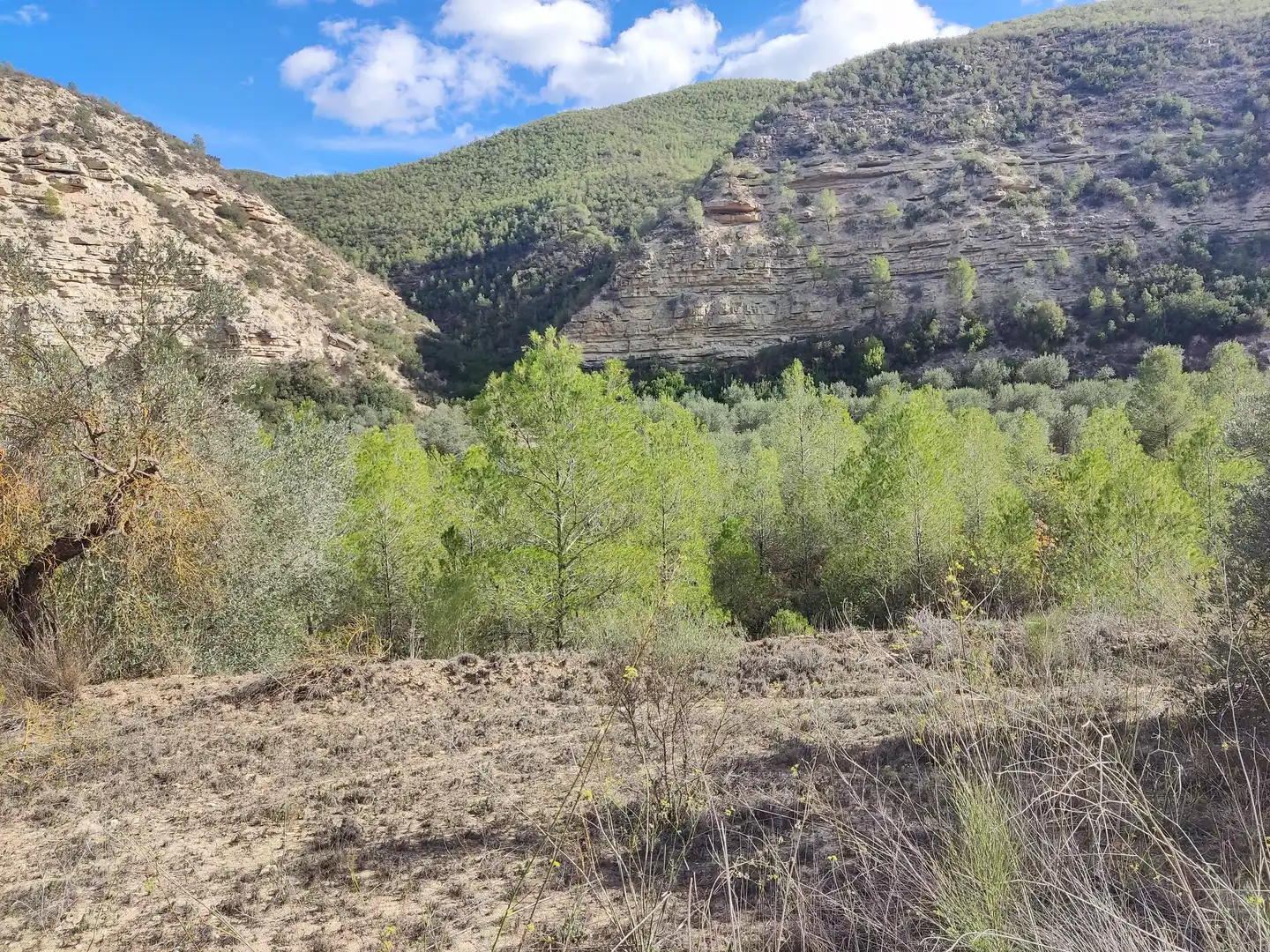 Terrain rustique à vendre à Riba-roja d'Ebre, imagen 3