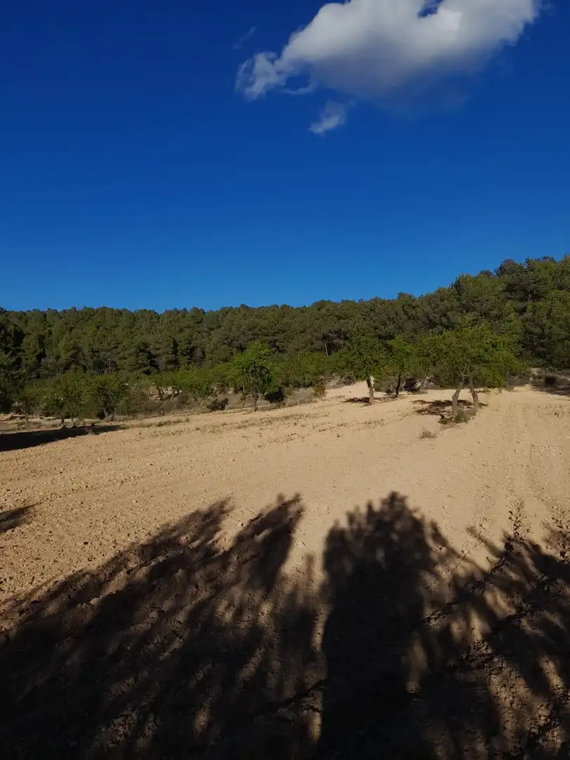 Terreno en venta en El Vilosell