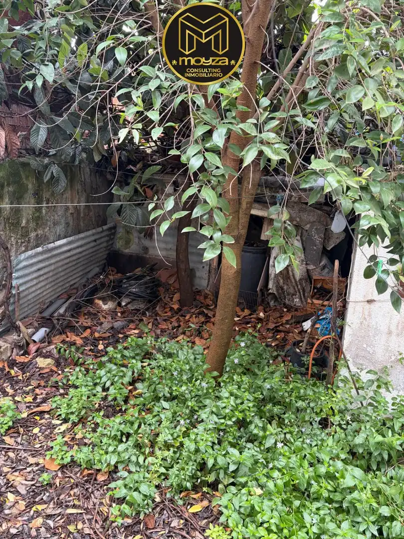 Garden of Houses for sale in Cárcheles, Jaén