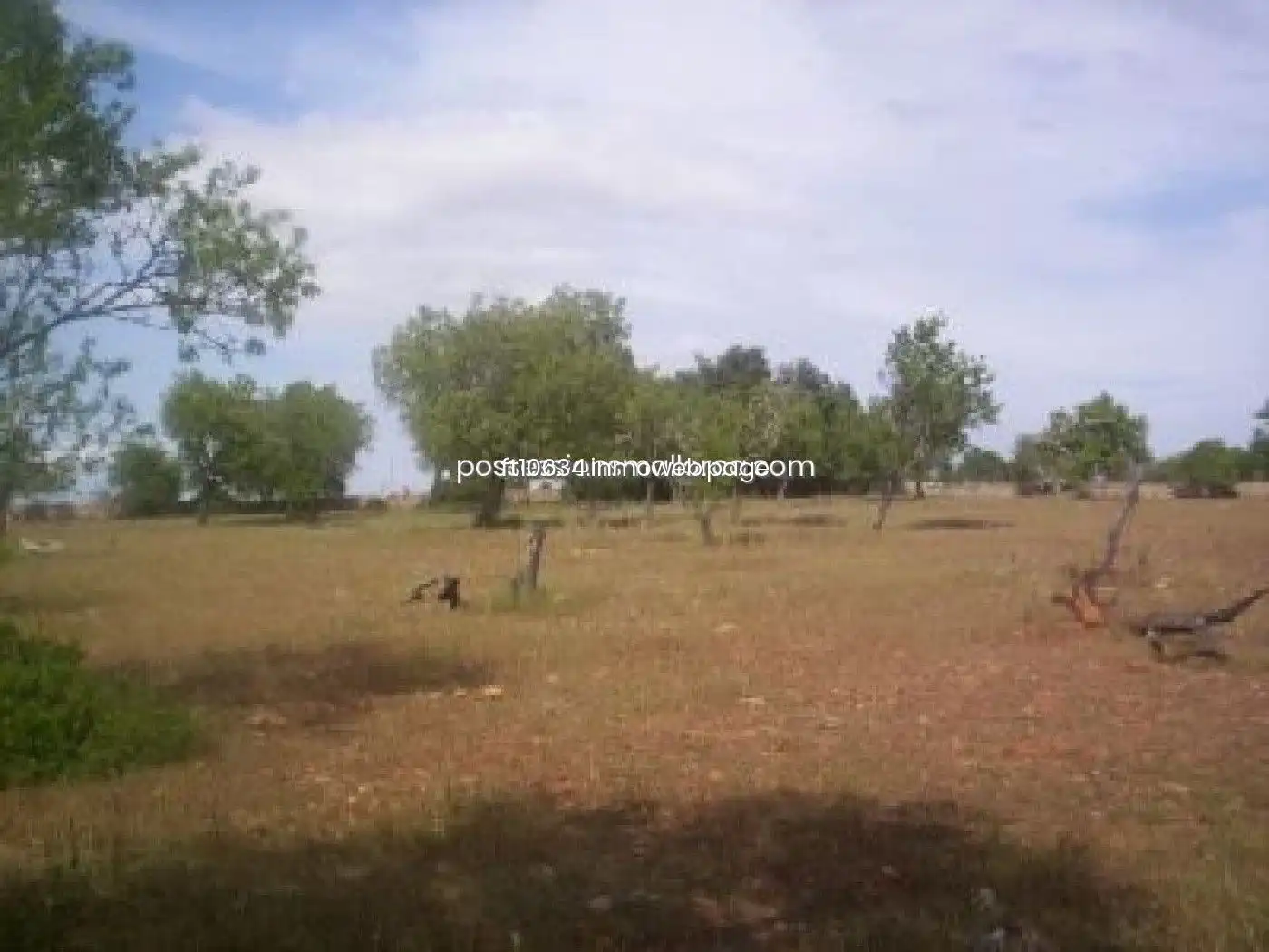 Terreno rustico in vendita a Algaida, imagen 21