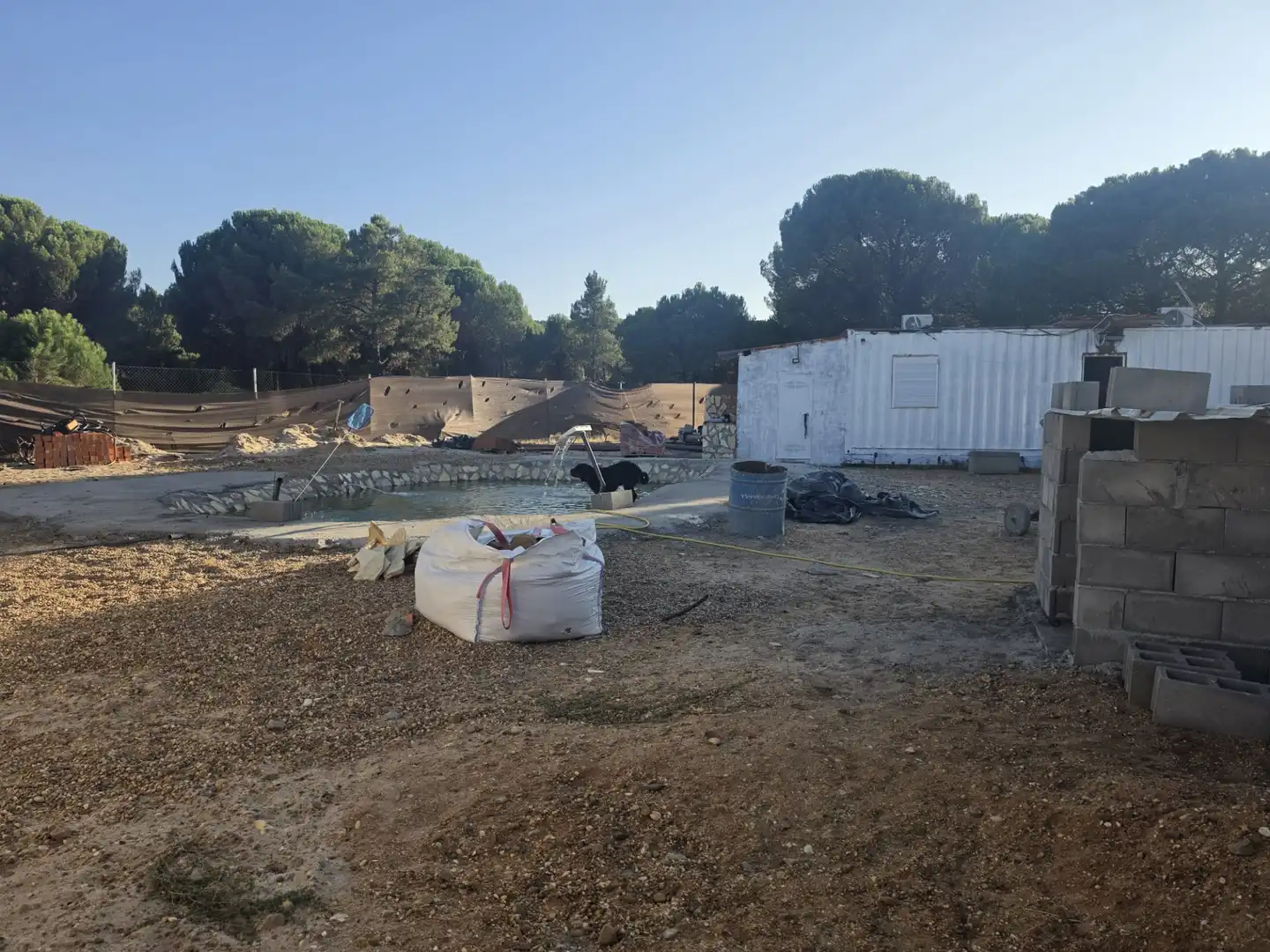 Chalet con piscina en venta en Camino La Acequia 3, imagen 8