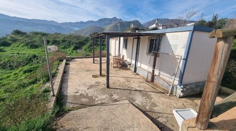 CORTIJO TERQUE, immagine 3