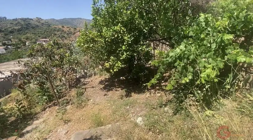 Casa rustica in vendita a Comares, imagen 6
