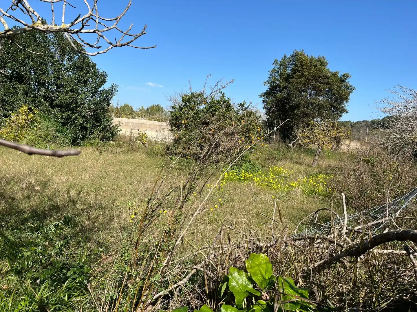 Terrenos y solares en venta en Son Servera Poble, imagen 7