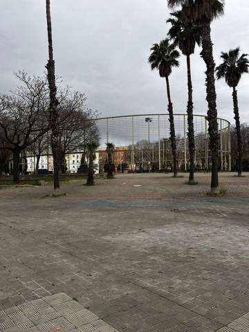 Local comercial en Venta en Pino Montano - Consolación