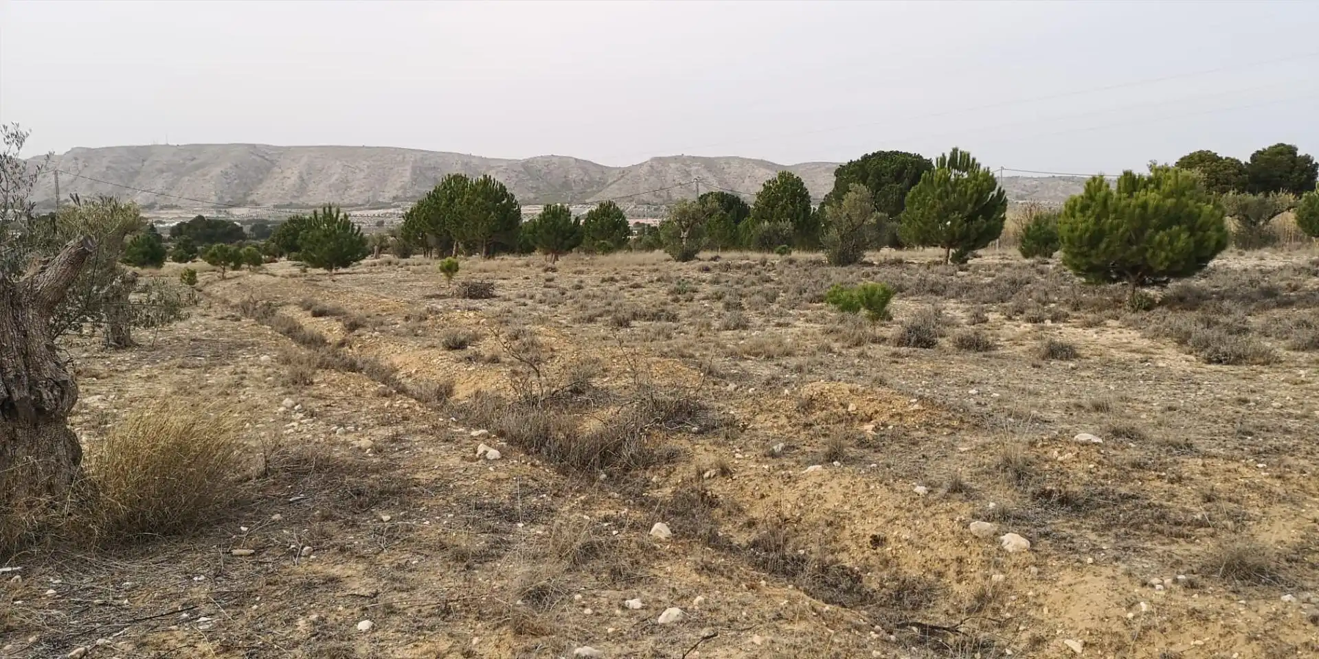 Rural land for sale in Las tiesas