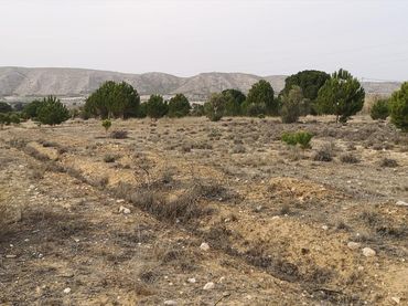 Rural land for sale in Las tiesas