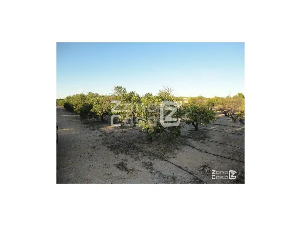 Finca rústica en venda en Benimuslem, Valencia