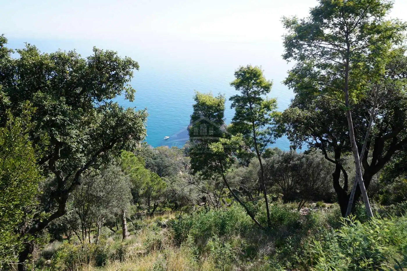 Wohnbaugrundstück zum Verkauf in Eixample, imagen 7