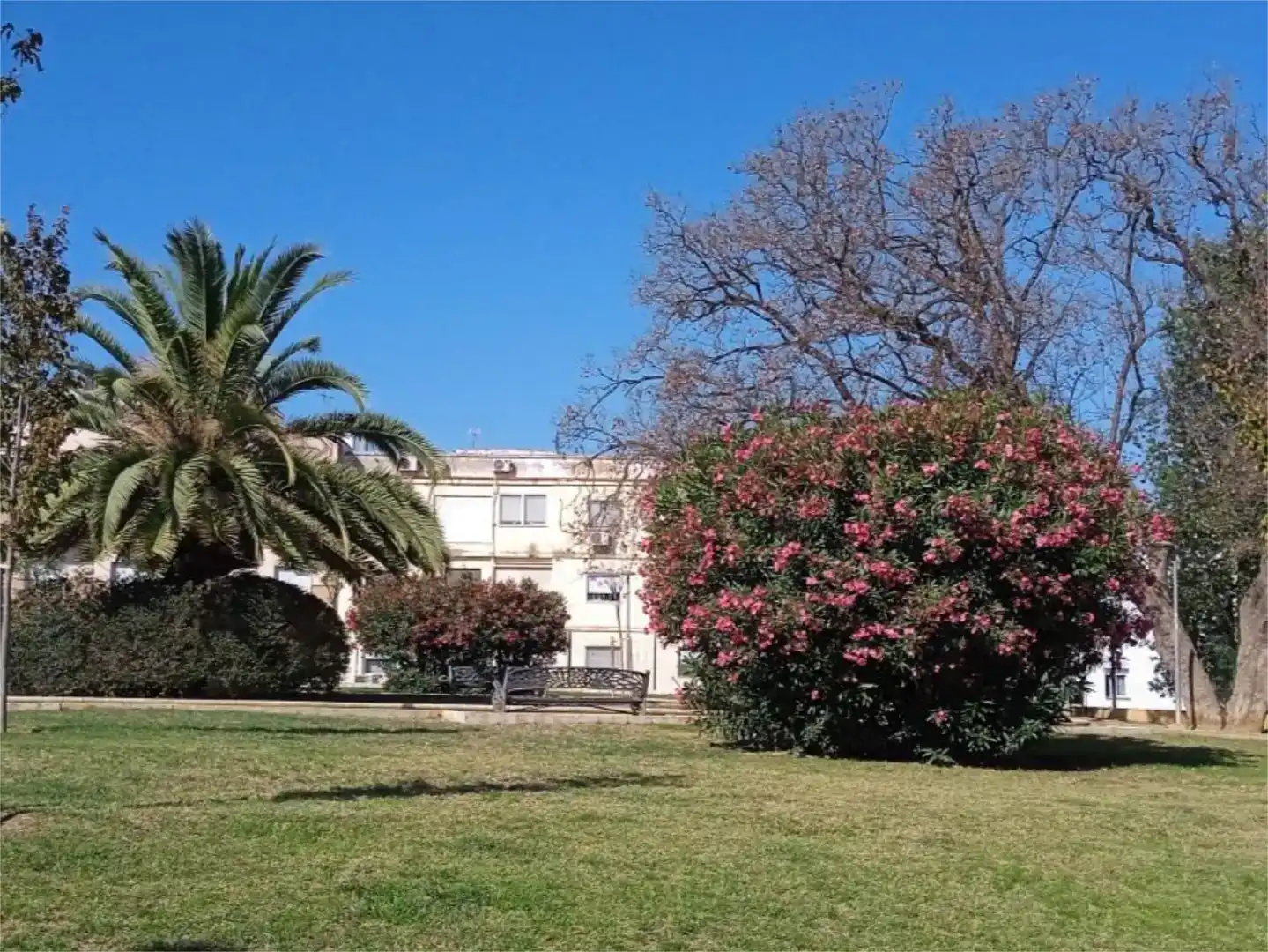 Vista exterior de Àtic en venda en  Huelva Capital