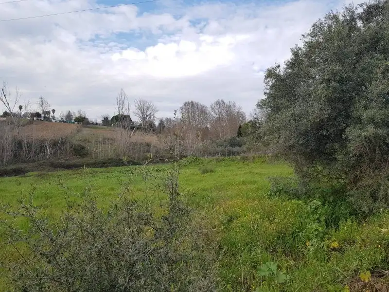 Terreni e lotti in vendita a Coria, imagen 5