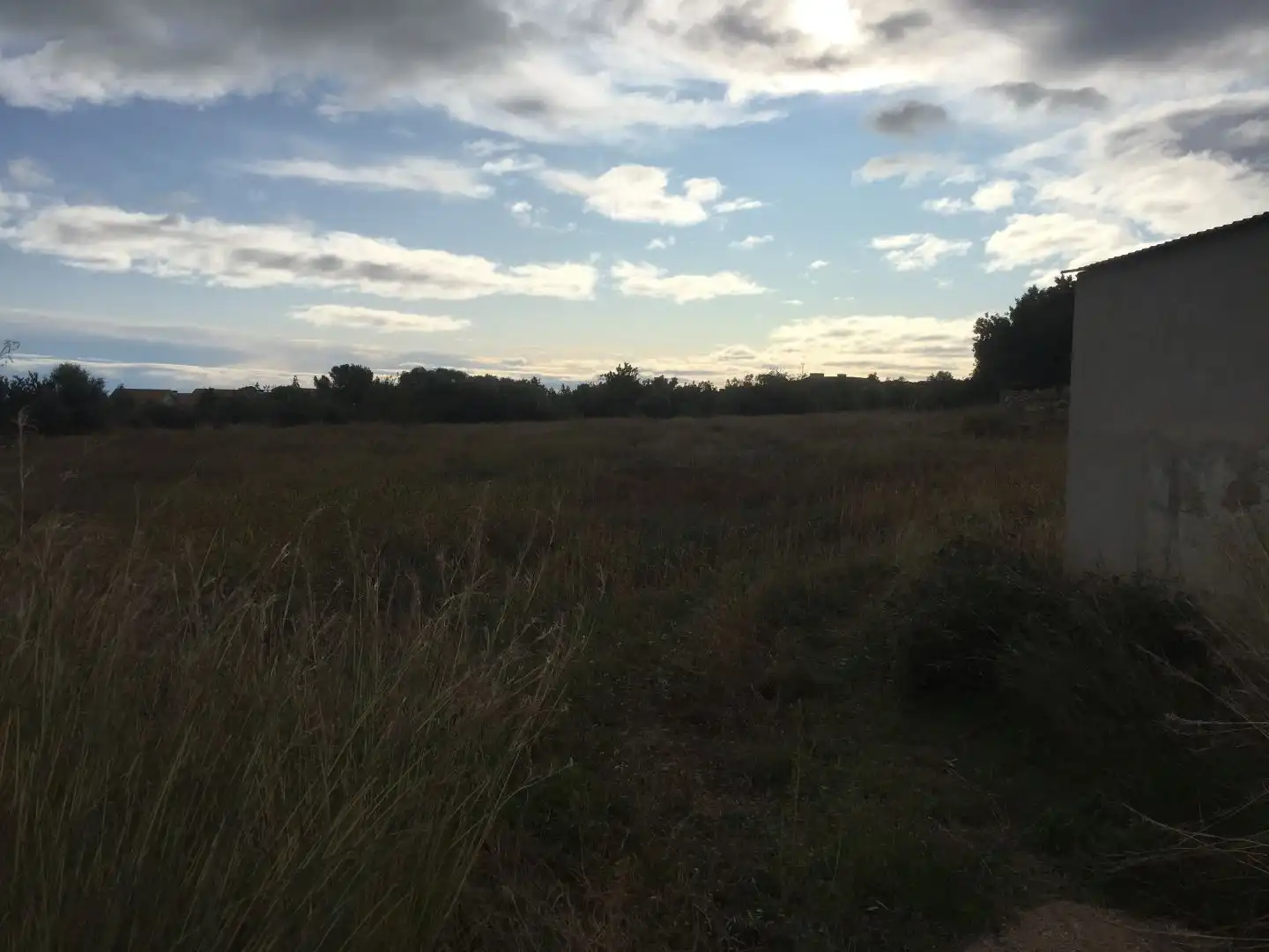 Terreny rústic en venda a Las Atalayas - Urmi - Cerro de Mar, imagen 5