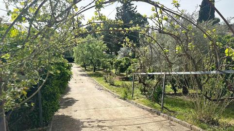 Photo 5 of House or chalet for sale in El Brillante -El Naranjo - El Tablero, Córdoba