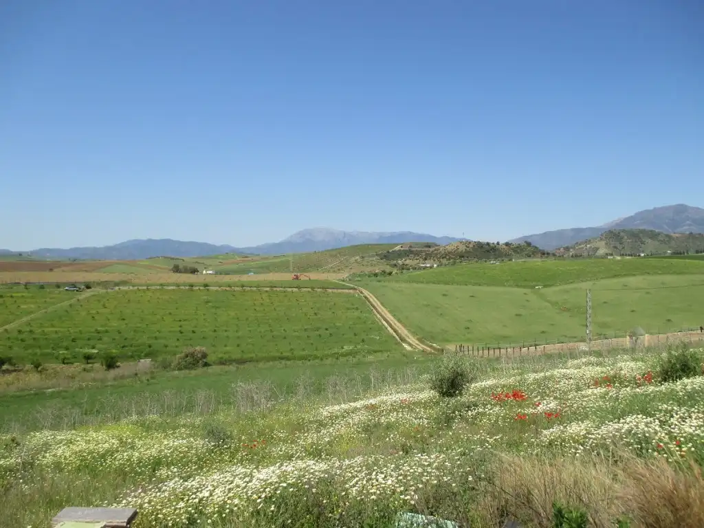 Xalet amb jardí en venda a Coín, imagen 16
