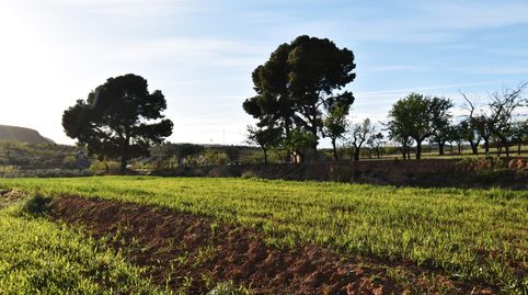 Foto 3 de Terreno en venta en Padul, Granada
