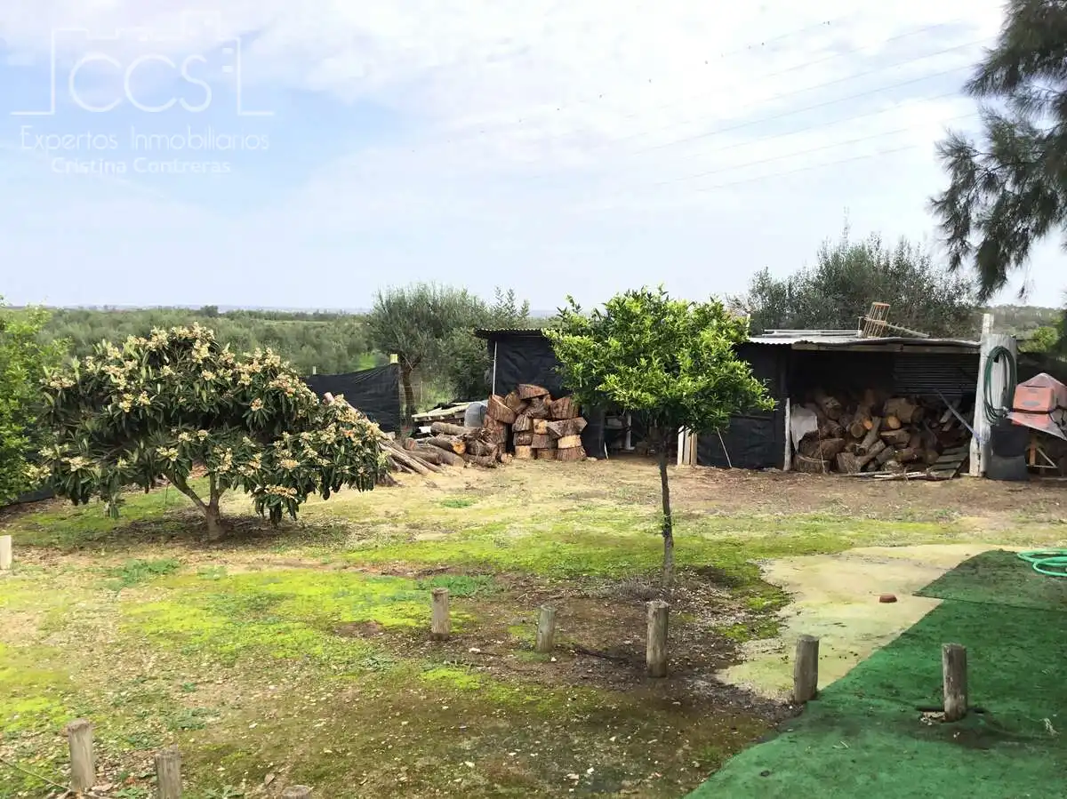 Casa rústica amb piscina en venda a Almonte ciudad, imagen 20