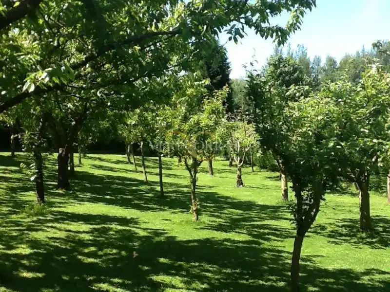 Casa o chalet en venta en Coviella, Cangas de Onís